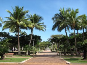 Place des cocotiers de Nouméa
